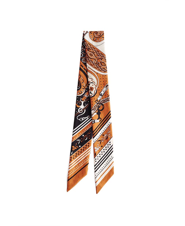 Hermes Festival des Amazones Bandana Twilly