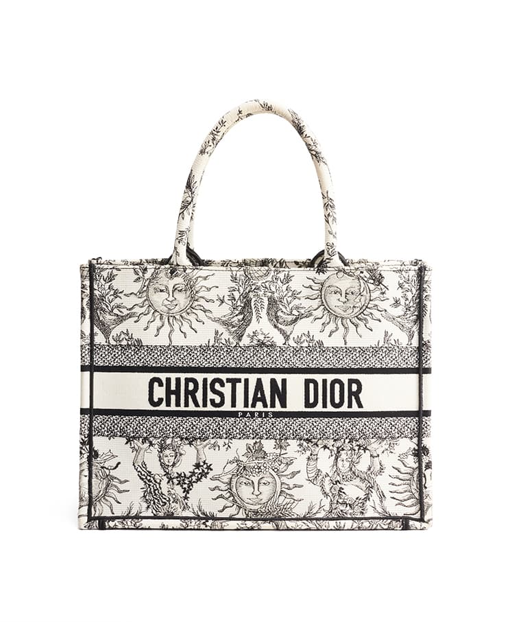 Dior Book Tote Medium