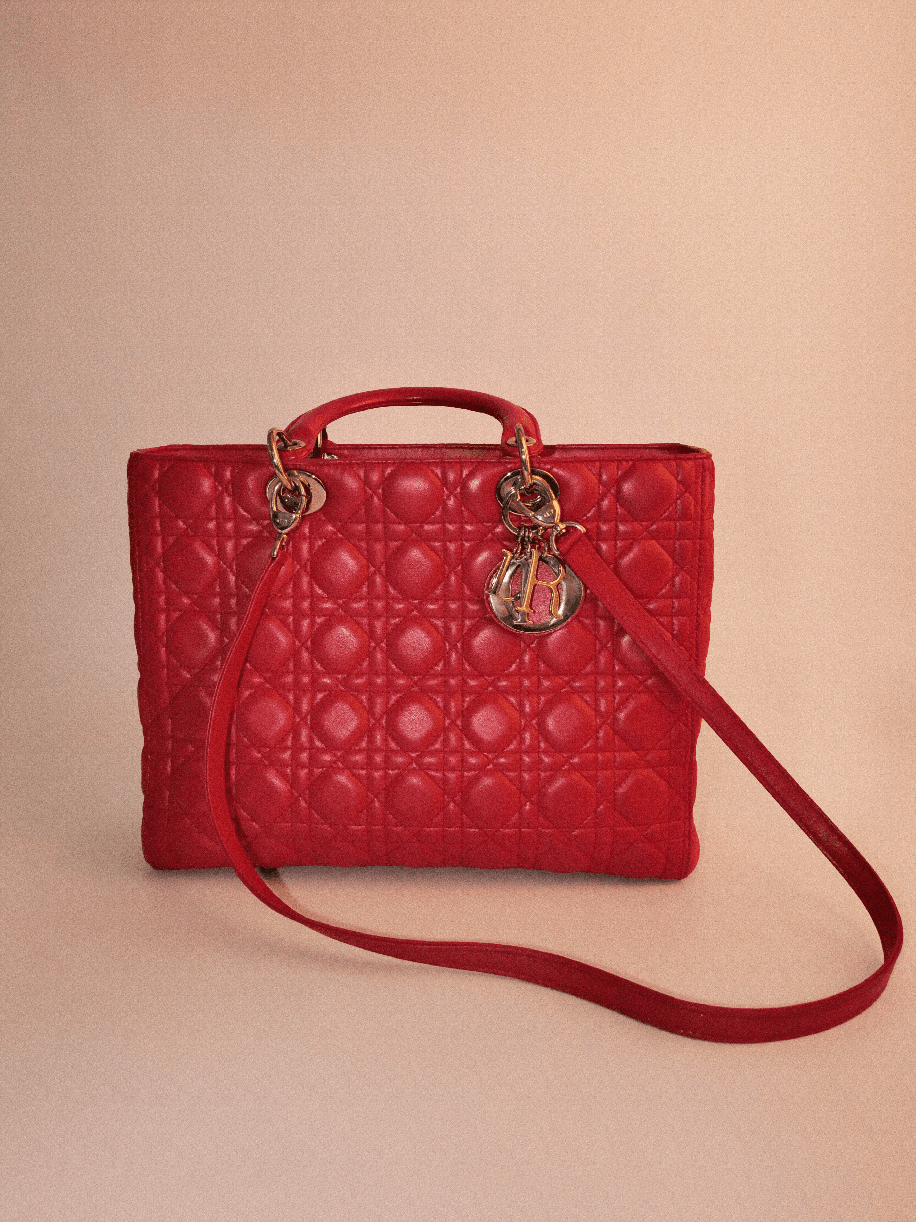 Dior Lady Dior Large