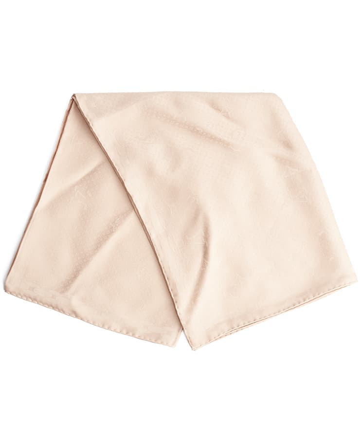 Louis Vuitton LV Monogram Stole