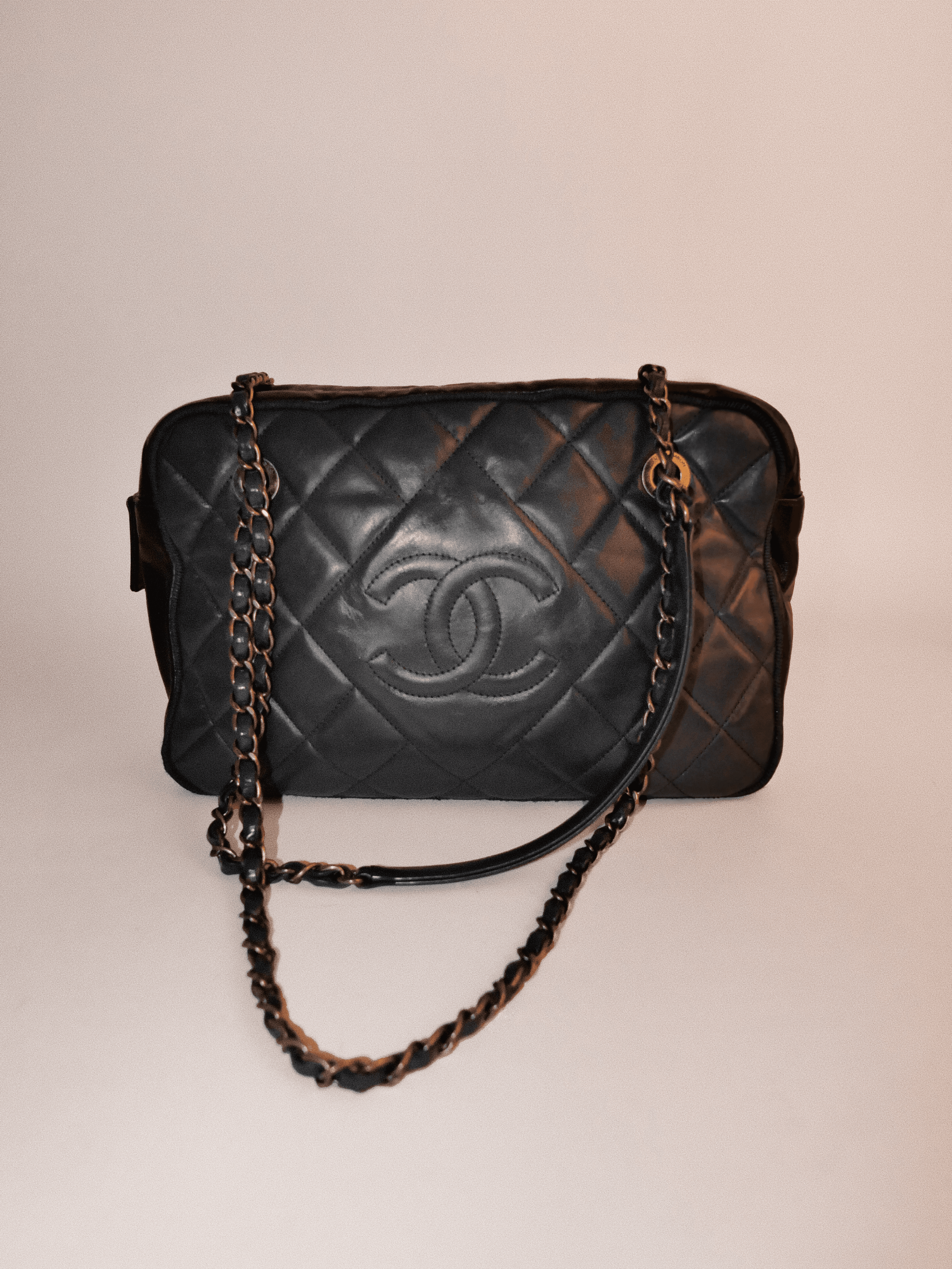 Chanel Ballerine Camera Bag Large