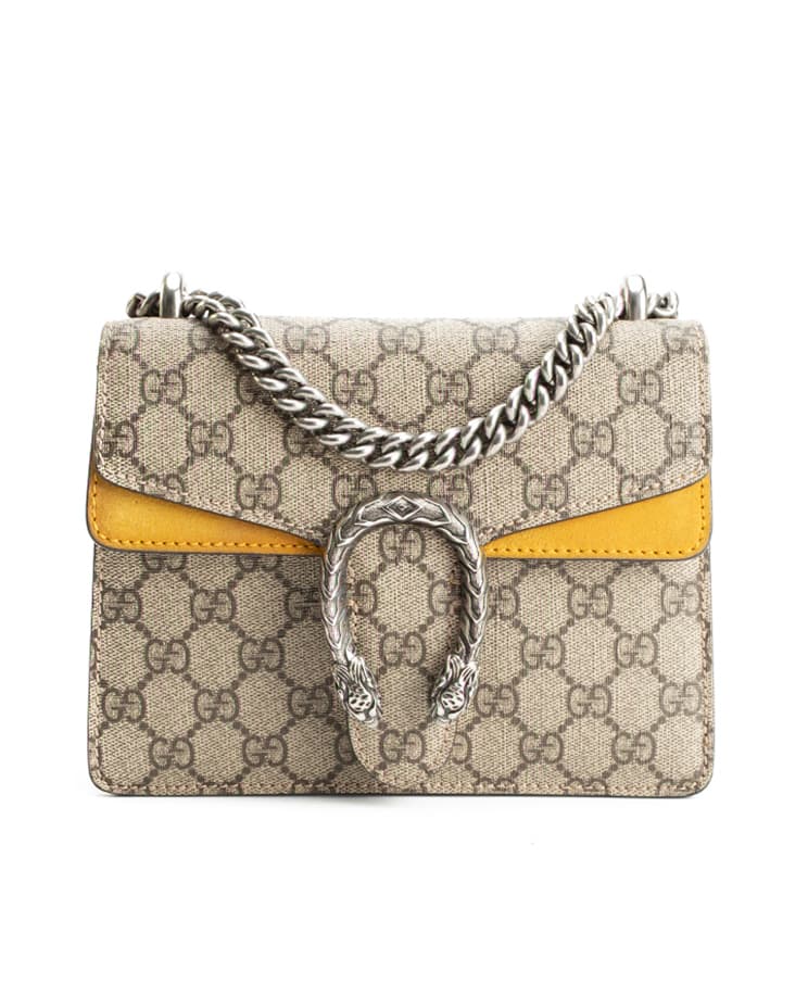 Gucci Dionysus Mini
