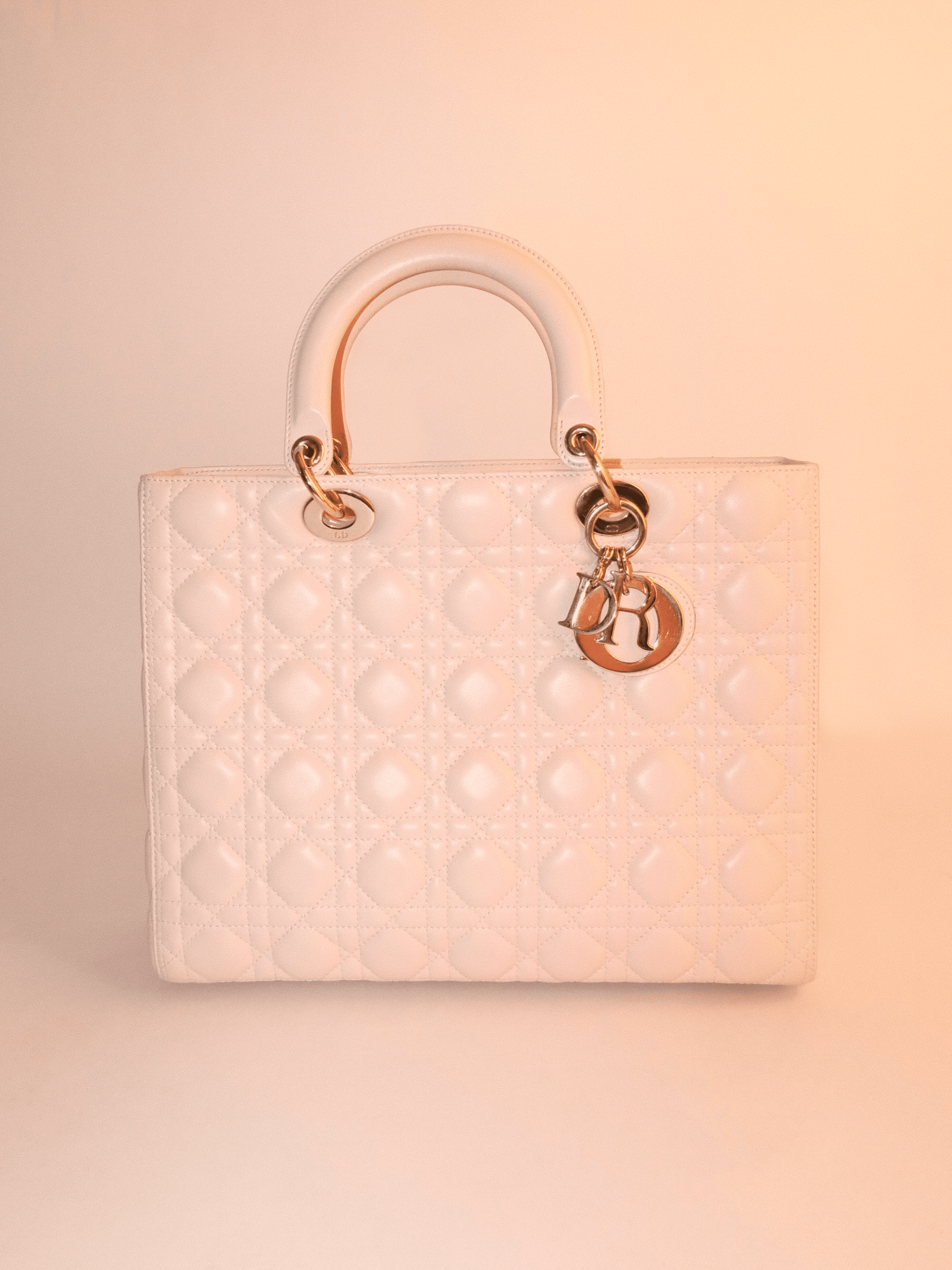 Dior Lady Dior Large