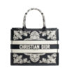 Dior Book Tote Medium