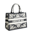 Dior Book Tote Medium