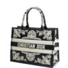 Dior Book Tote Medium