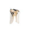 Tiffany & Co Elsa Peretti Bone Bracelet Right S