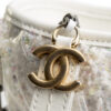 Chanel Gabrielle Hobo Medium / Limited Edition