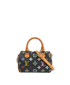 Louis Vuitton Speedy Mini HL