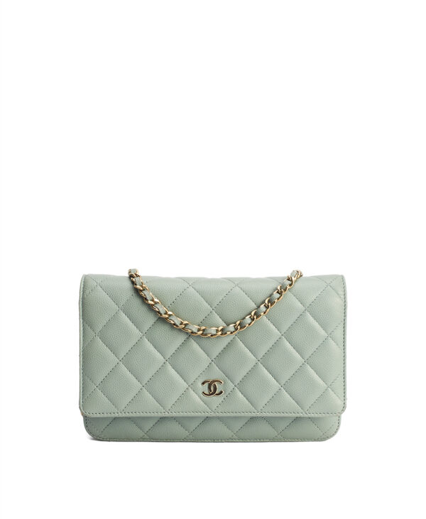 Chanel Classic Wallet on Chain – (ex)bags