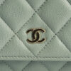 Chanel Classic Wallet on Chain