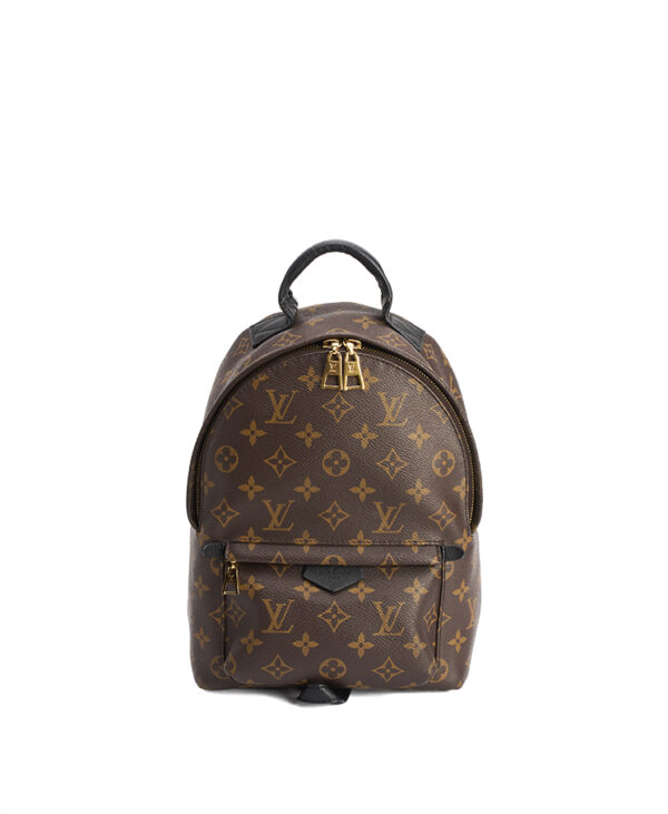 Louis Vuitton Palm Springs PM – (ex)bags