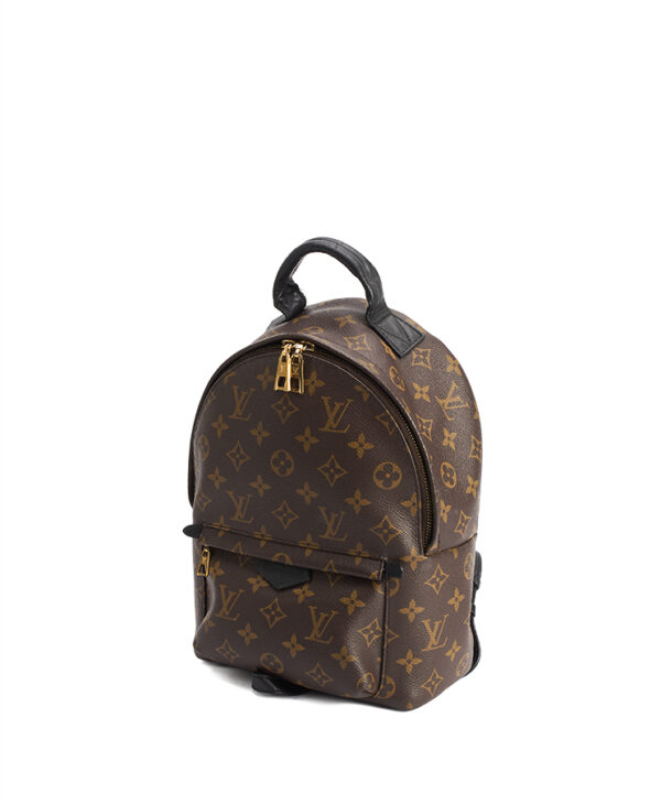 Louis Vuitton Palm Springs PM – (ex)bags