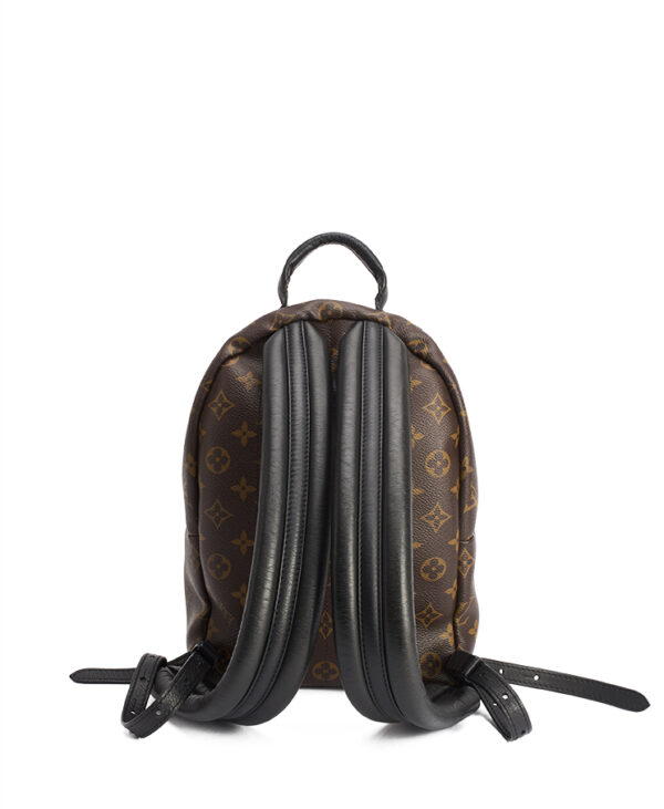 Louis Vuitton Palm Springs PM – (ex)bags