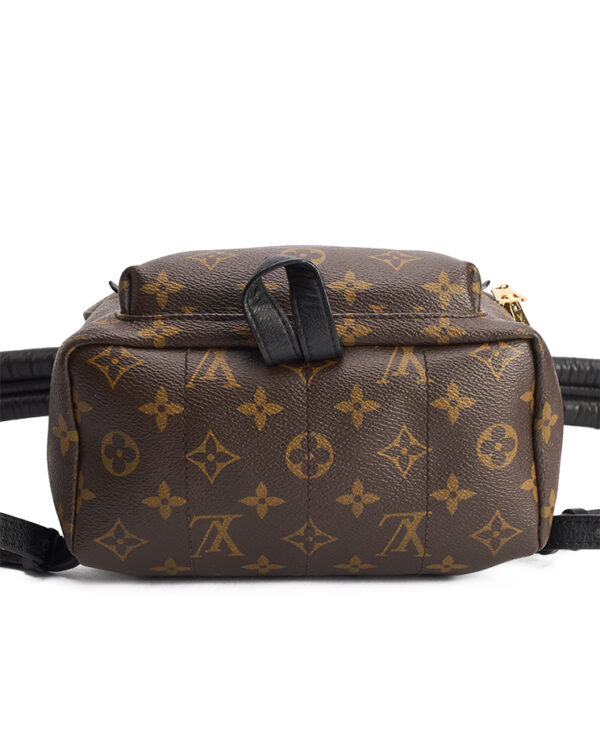 Louis Vuitton Palm Springs PM – (ex)bags