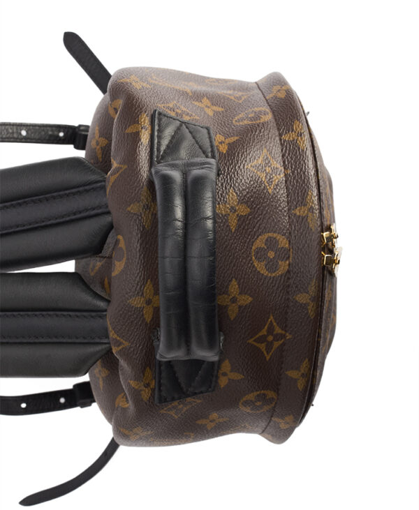 Louis Vuitton Palm Springs PM – (ex)bags