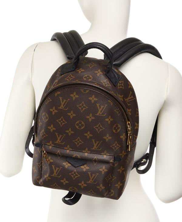 Louis Vuitton Palm Springs PM – (ex)bags