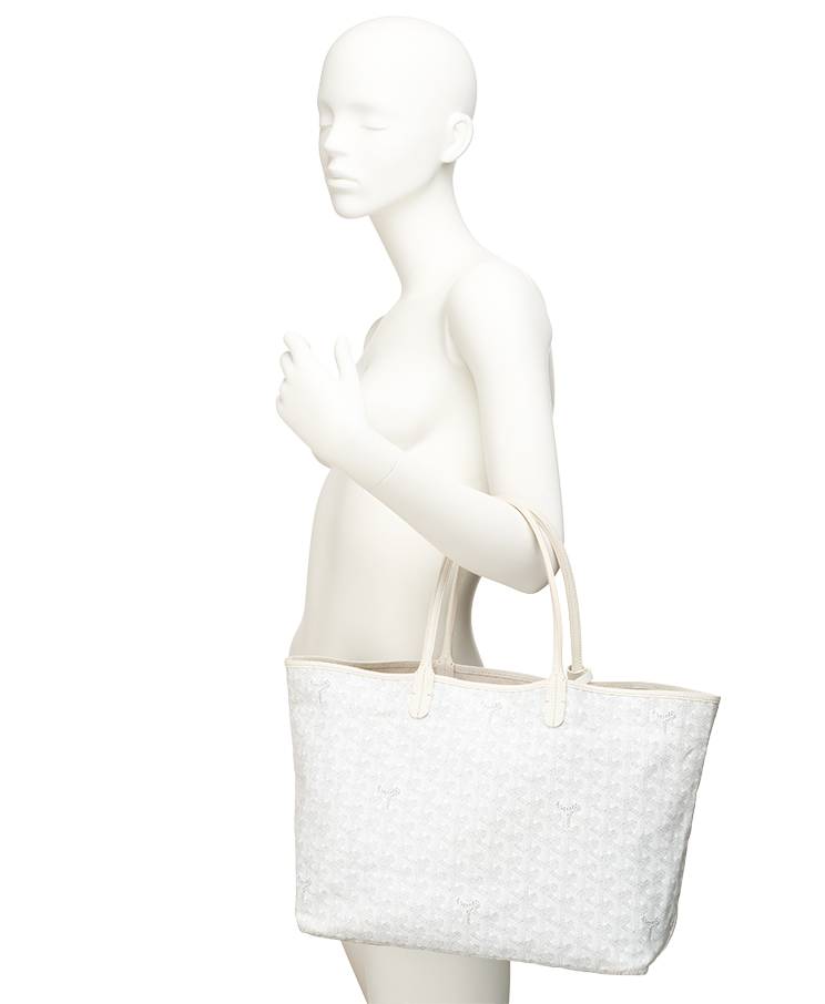 Goyard Saint Louis Tote PM ex bags