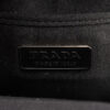 Prada Crystal Clutch Pochette