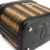 Chanel Vanity Case With Chain Small