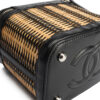 Chanel Vanity Case With Chain Small