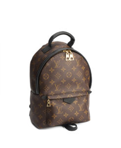 Louis Vuitton Palm Springs PM