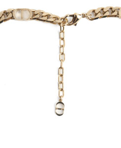 Dior CD Icon Thin Chain Link Necklace – (ex)bags