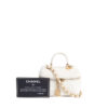 Chanel Vanity Case Around Zip Chain Mini
