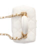 Chanel Vanity Case Around Zip Chain Mini