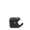 Chanel Classic Vanity Case With Chain Mini