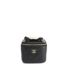 Chanel Classic Vanity Case With Chain Mini