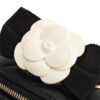 Chanel Classic Vanity Case With Chain Mini
