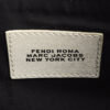 Fendi Fendigraphy Small