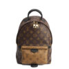 Louis Vuitton Palm Springs PM