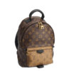Louis Vuitton Palm Springs PM