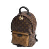 Louis Vuitton Palm Springs PM