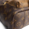 Louis Vuitton Palm Springs PM