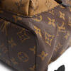 Louis Vuitton Palm Springs PM