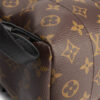 Louis Vuitton Palm Springs PM