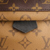 Louis Vuitton Palm Springs PM