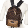 Louis Vuitton Palm Springs PM