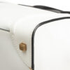 Celine Luggage Mini
