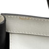 Celine Luggage Mini