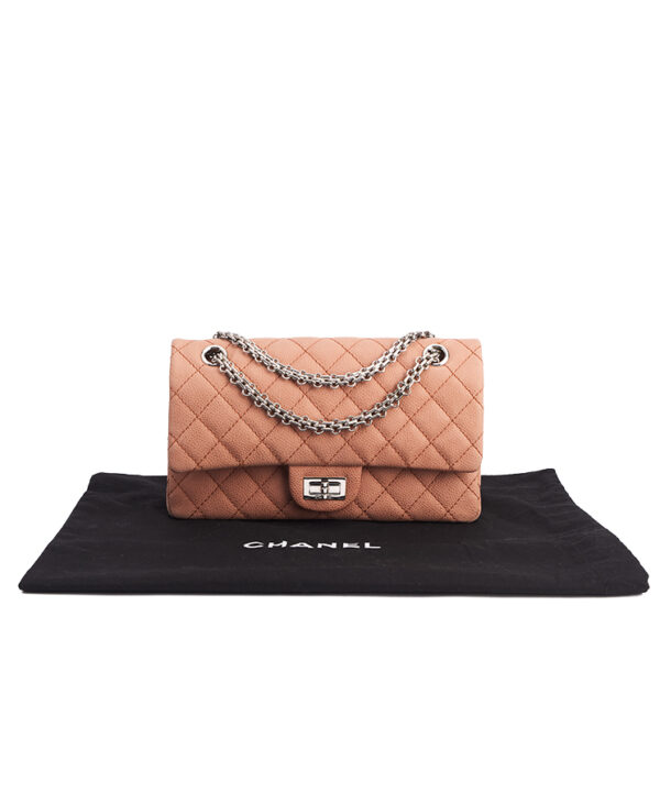 Chanel 2.55 Reissue 225 Double Flap – (ex)bags