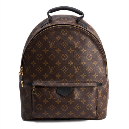 Louis Vuitton Palm Springs MM – (ex)bags