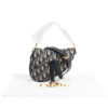 Dior Saddle Mini