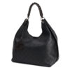 Louis Vuitton Carmel Hobo Bag
