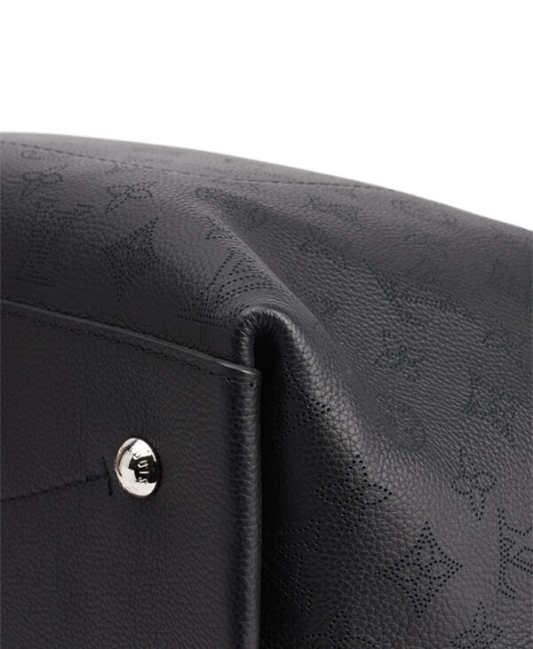 Louis Vuitton Carmel Hobo Bag – (ex)bags