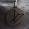 Louis Vuitton Carmel Hobo Bag