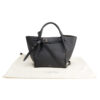 Celine Big Bag Small